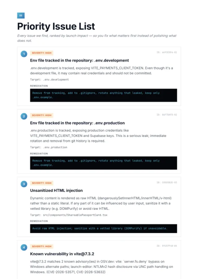 Sample audit report — priority issue list ranked by severity